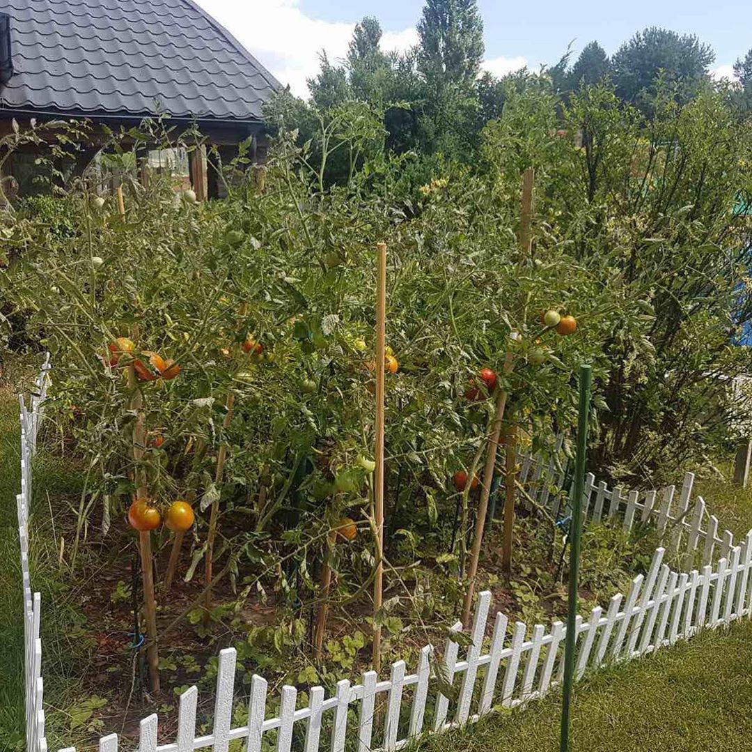 Хозяюшка: Камалия без макияжа похвасталась своим урожаем