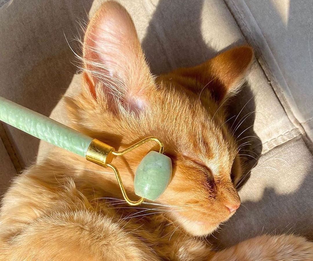 Роллер для масажу, як в Instagram: косметолог розповіла, чи потрібен він насправді