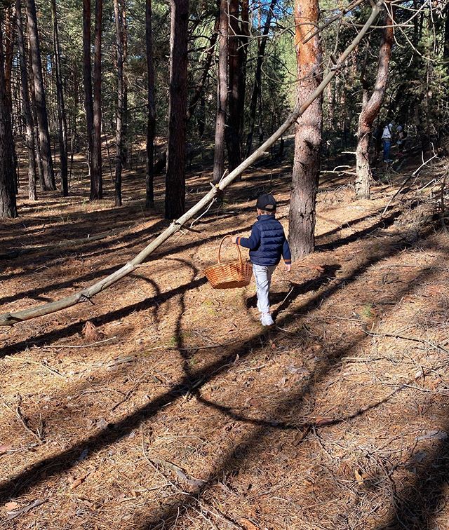 Щасливі і сонячні: Осадча в трендовому аутфіті і Горбунов з сином похвалилися лісовим &quot;уловом&quot;