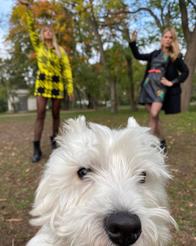 Нікітюк і Фреймут у міні розвеселили іронічним селфі перед Танцями з зірками 2020