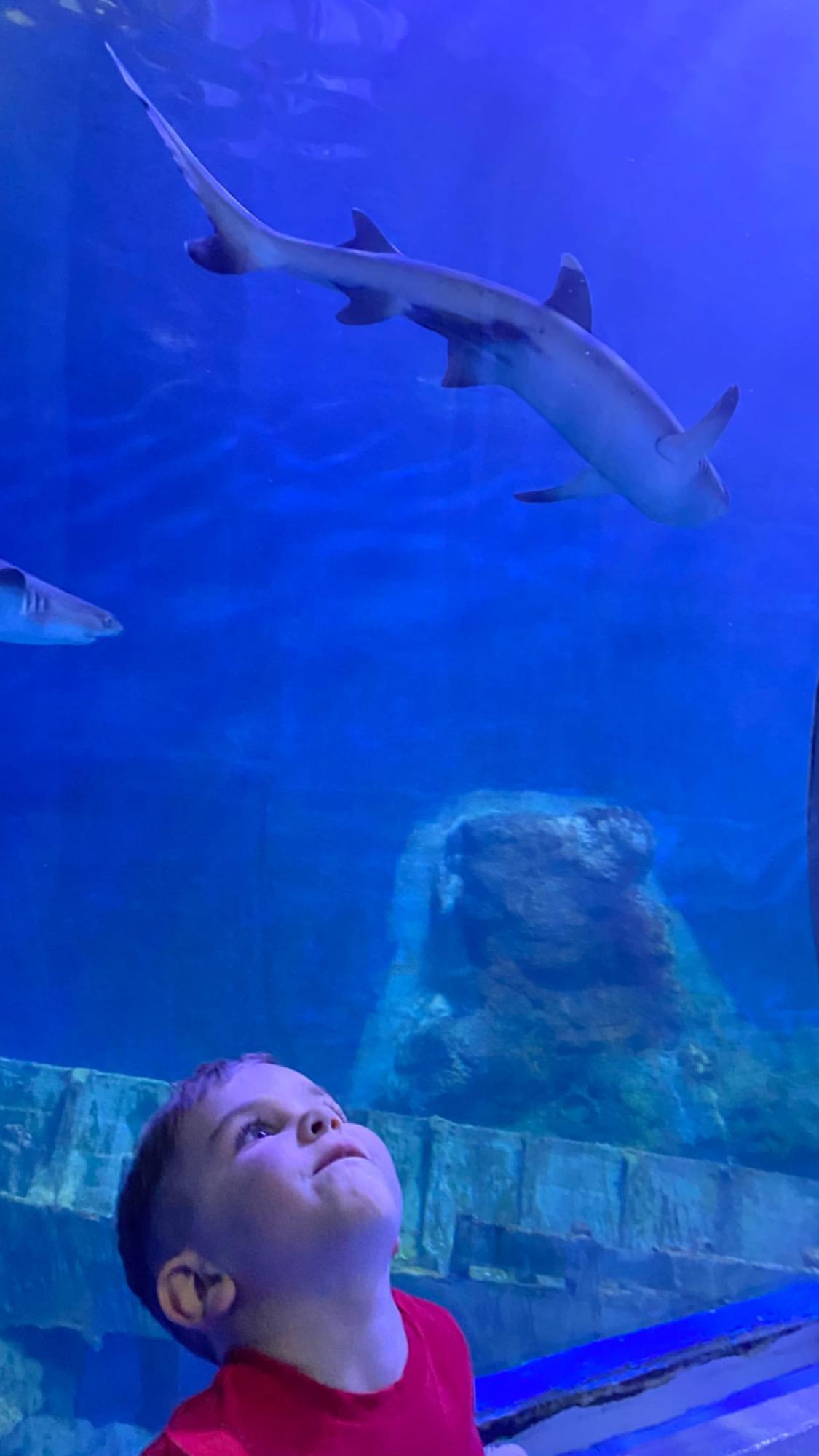 Просто казка: щаслива Саніна в купальнику зачарувала райським фотосетом з сином