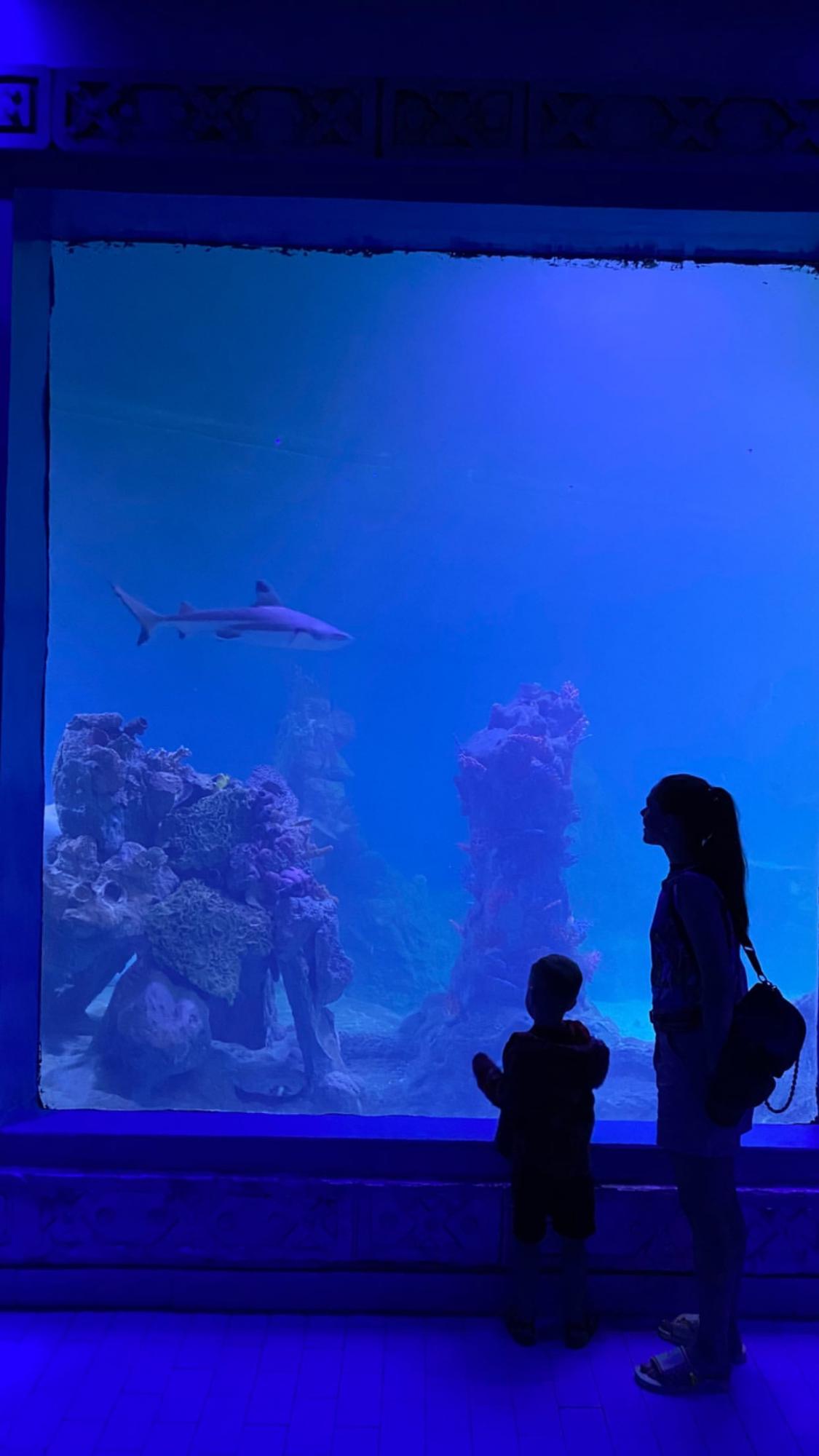 Просто казка: щаслива Саніна в купальнику зачарувала райським фотосетом з сином