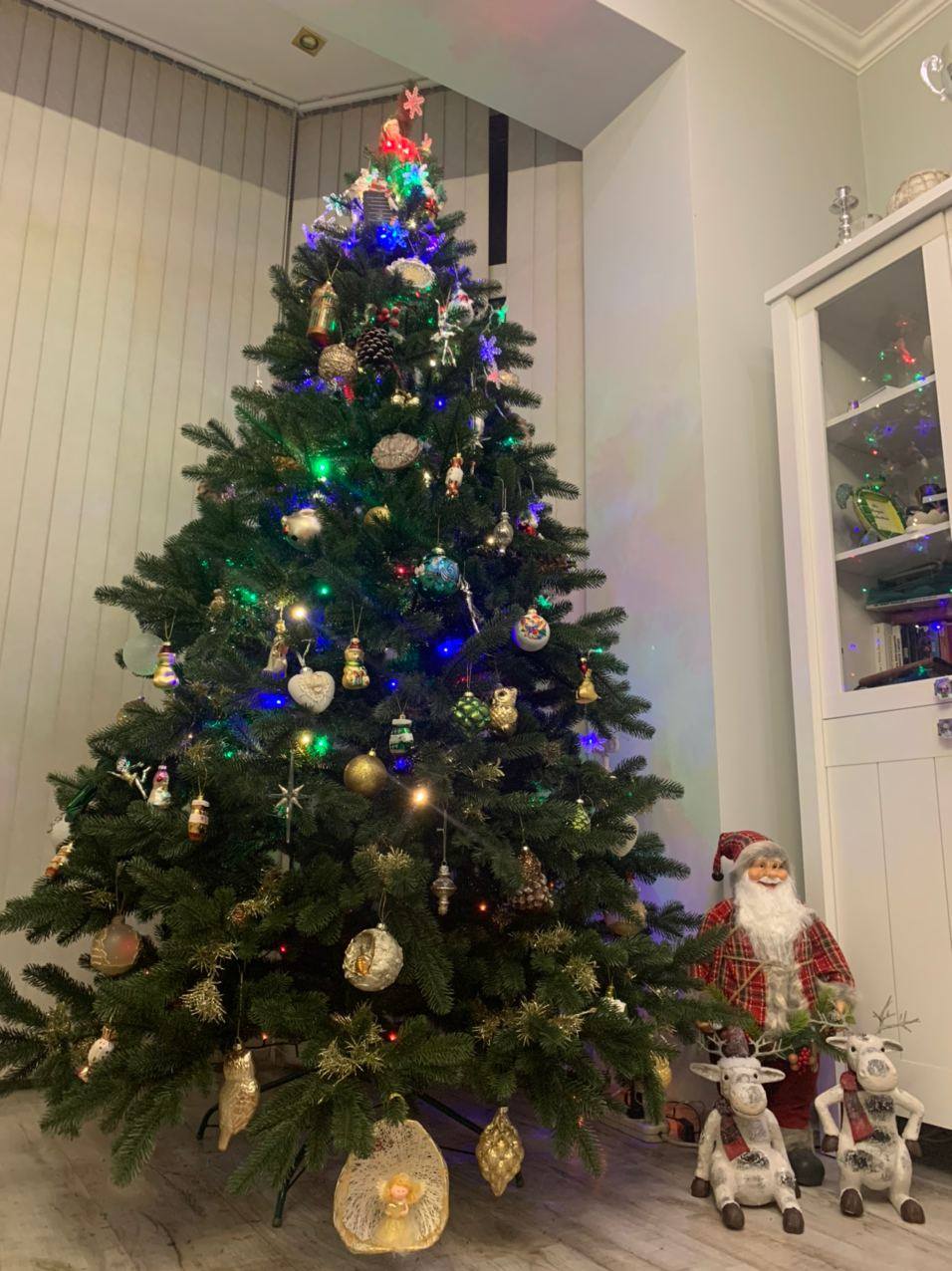 Ілона Гвоздьова разом з сім'єю прикрасила ялинку і замилувала красивими фото