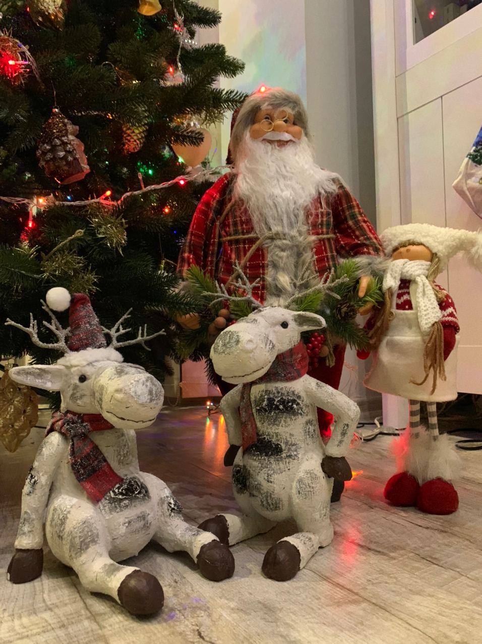 Ілона Гвоздьова разом з сім'єю прикрасила ялинку і замилувала красивими фото