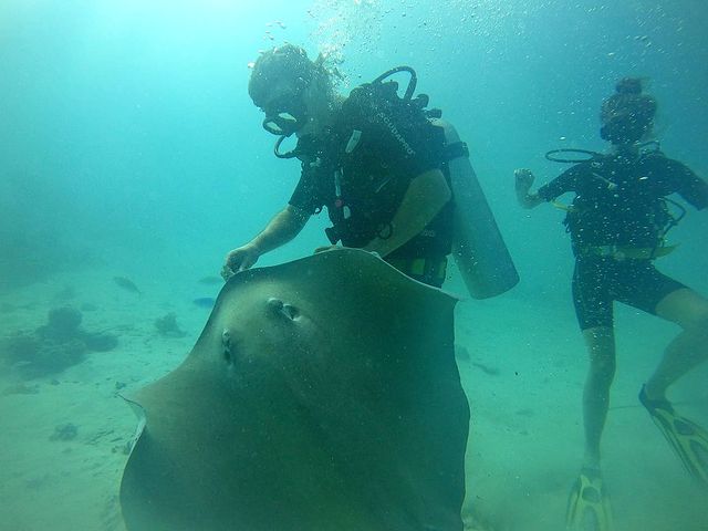 Усмішка не сходить з лиця: Дмитро Комаров підкорив романтикою з дружиною на райському острові