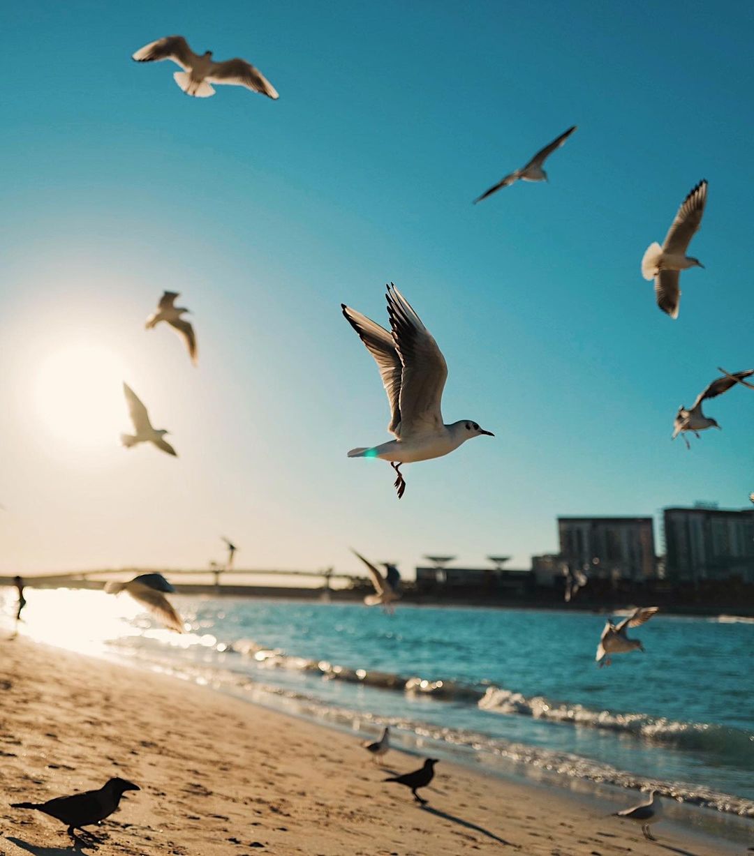 К папе в Дубай: Слава Каминская готовит воссоединение с экс-мужем в отпуске