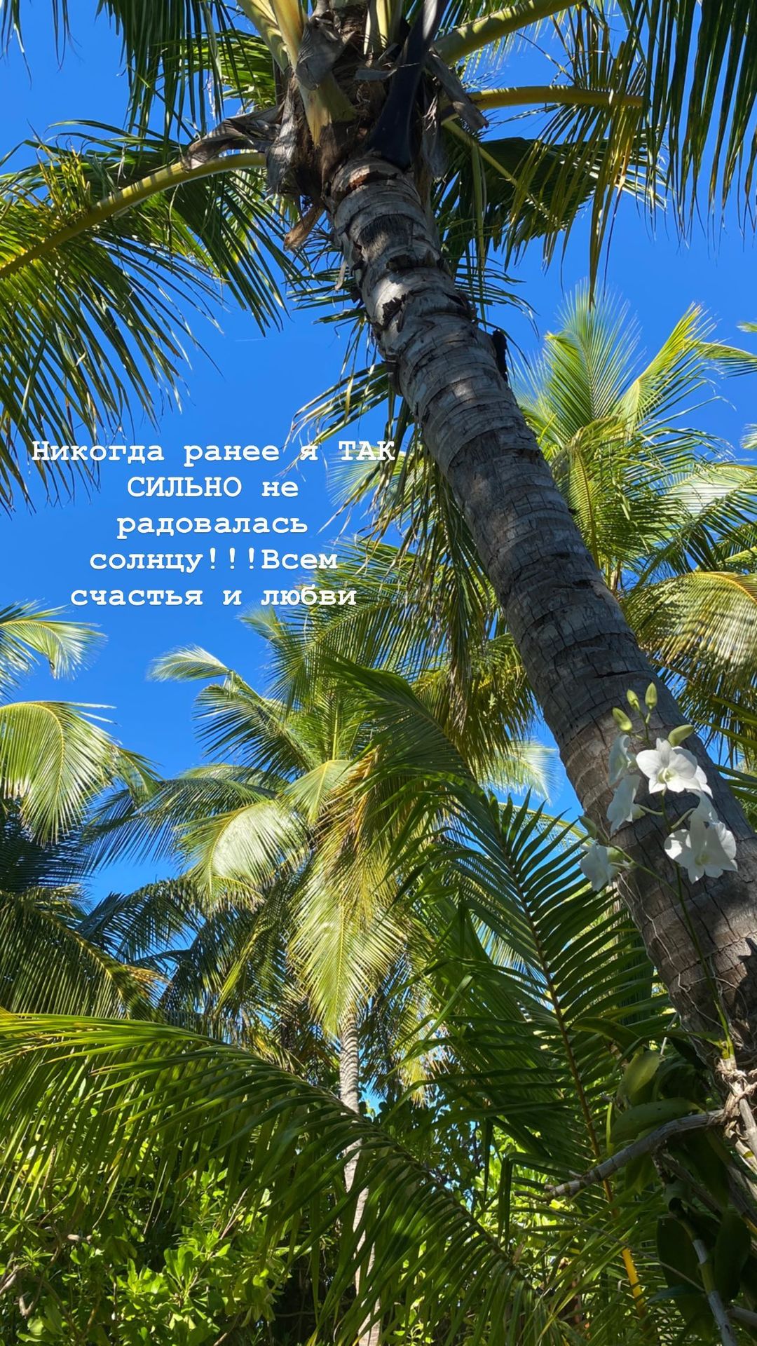 MONATIK с женой и детьми встретил Рождество под пальмами: самый счастливый человек