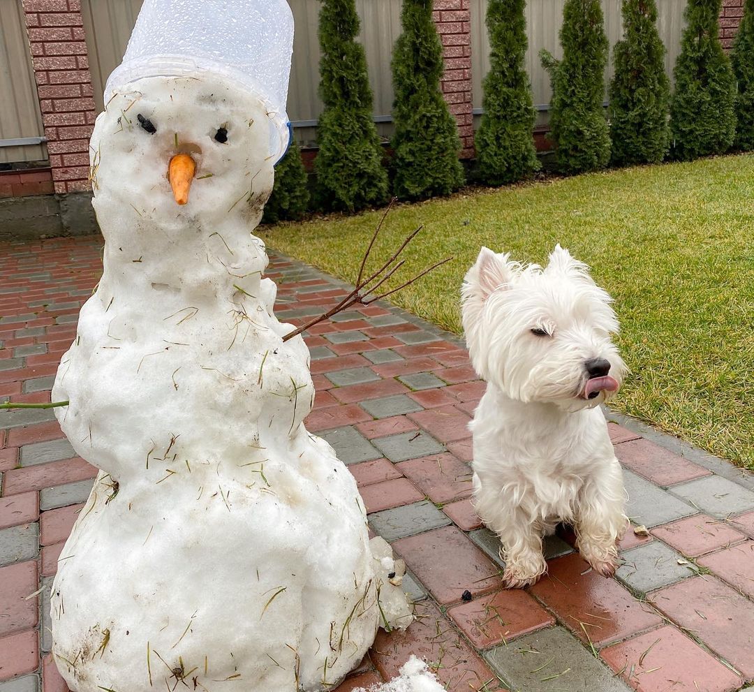 Зліпила з того, що було: Леся Нікітюк показала фоловерам улюбленого мецената