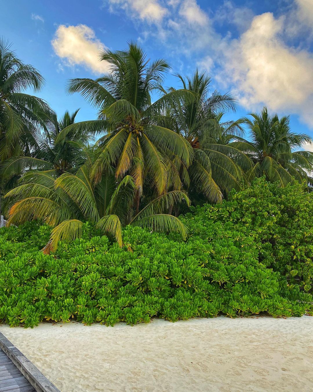 Красавица-русалка: Леся Никитюк покорила сеть ярким фото с отдыха на берегу океана