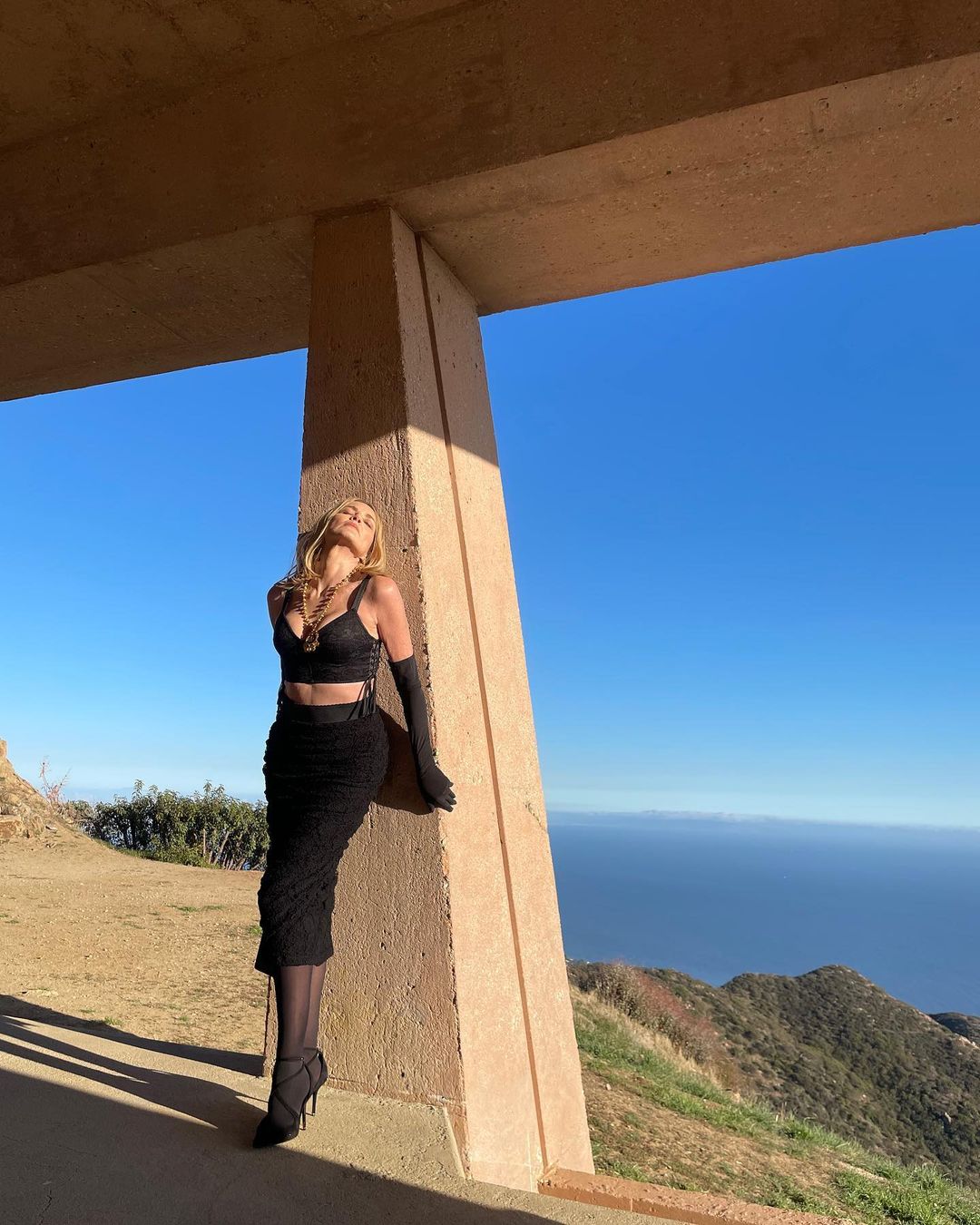 В корсеті і вузькій спідниці: 62-річна Шерон Стоун підкорила бездоганною фігурою