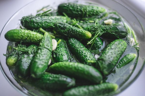 Рецепт хрустких малосольних огірків: виходять у кожного!