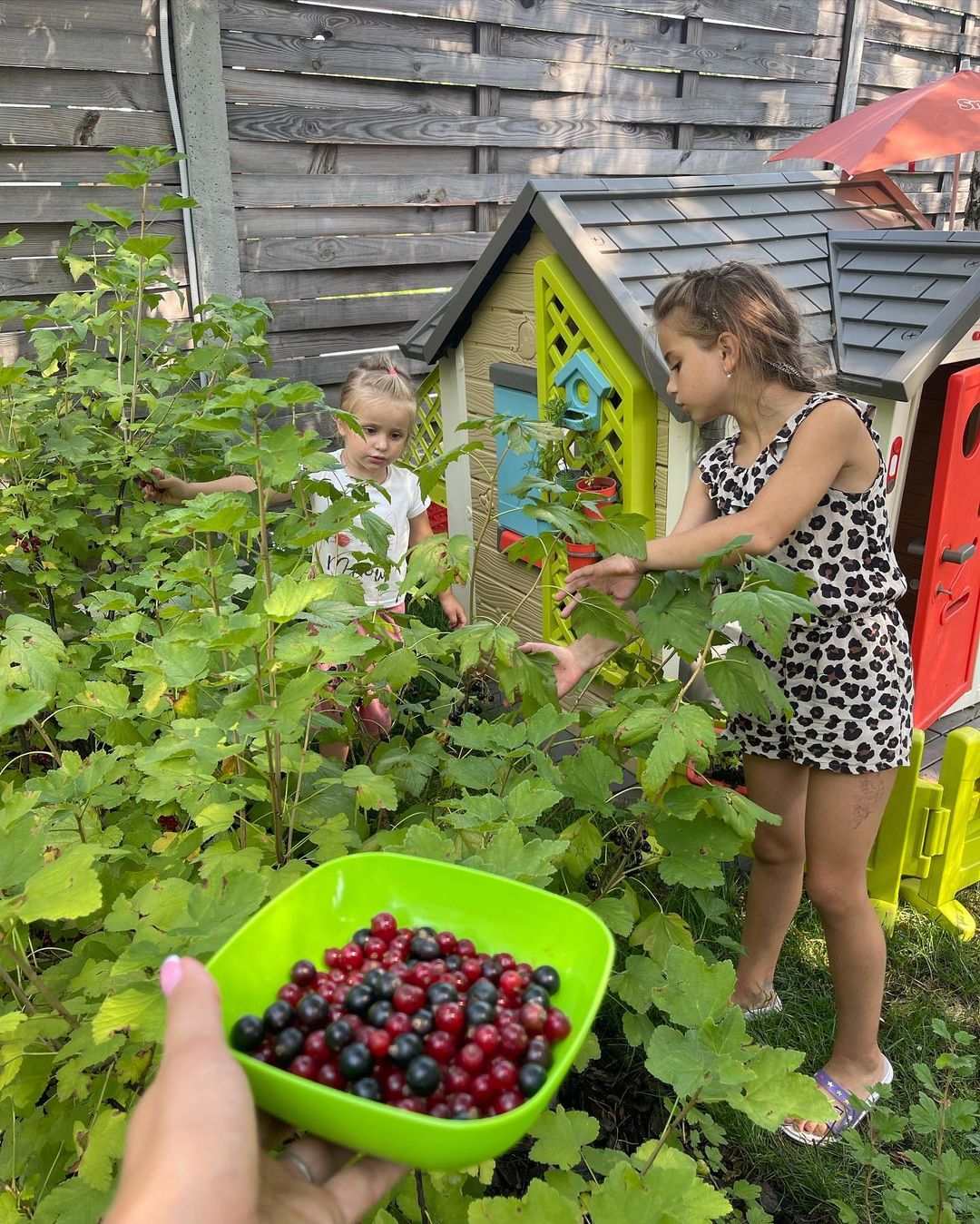 Веселі фермери: Лілія Ребрик з дочками похвалилися вражаючим урожаєм