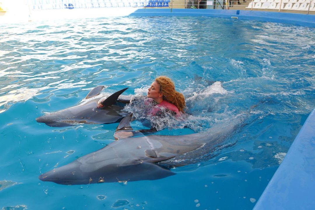 Алина Гросу с бойфрендом устроили заплыв с дельфинами: &quot;невероятные эмоции&quot;