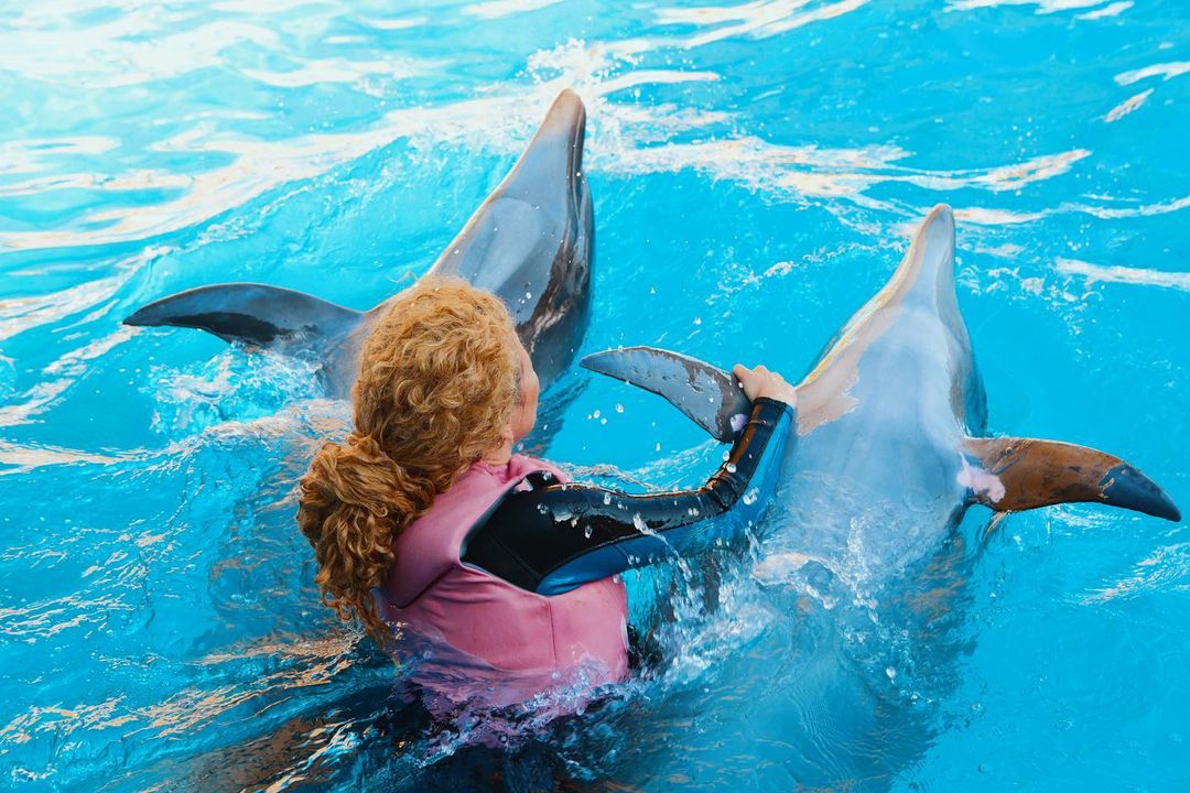 Алина Гросу с бойфрендом устроили заплыв с дельфинами: &quot;невероятные эмоции&quot;