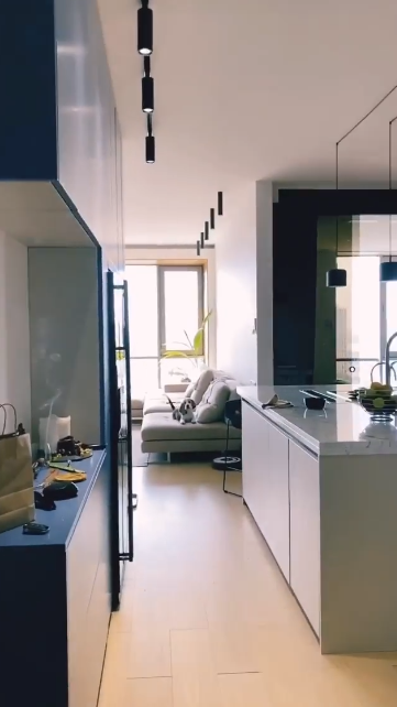 "Холостячка" Мишина показала свою квартиру в Киеве: красиво жить не запретишь