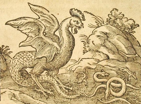 25 вересня не ходіть у ліс та уникайте змій: що можна і не можна робити в цей день