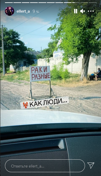 "Карма": Эллерт покинул Крым после разрыва с Мишиной, но его остановили патрульные