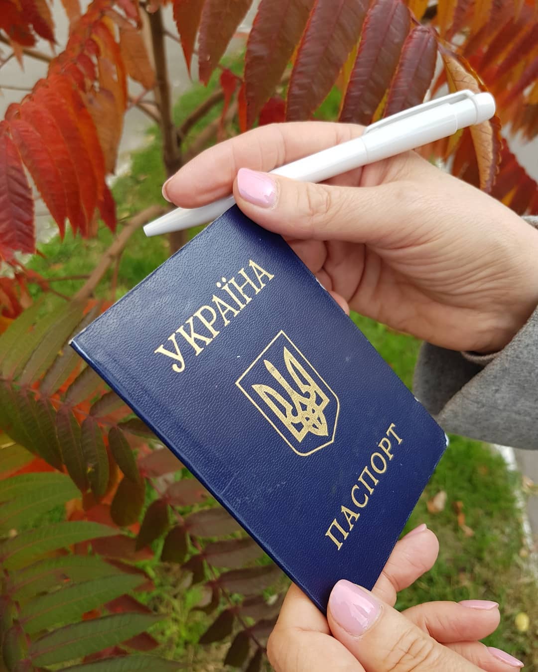 Паспорт - свій, ручка - своя: як голосували знаменитості на місцевих виборах