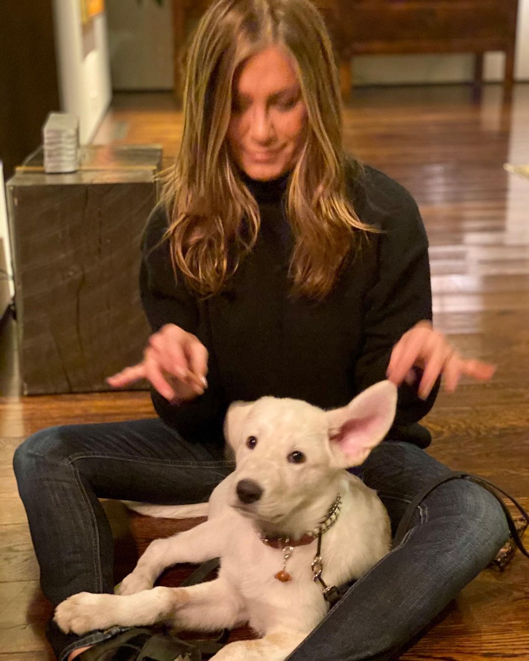 Красива і щаслива: Дженніфер Еністон підкорила мережу милим домашнім фото