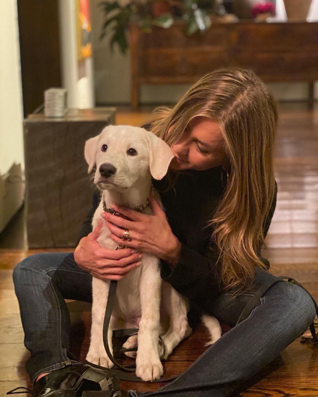 Красива і щаслива: Дженніфер Еністон підкорила мережу милим домашнім фото