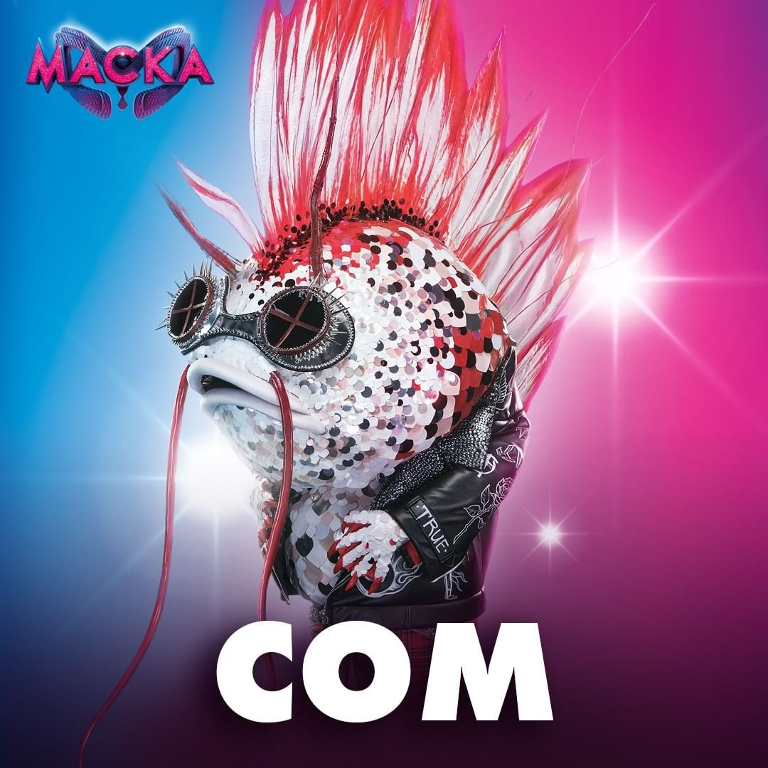 Всі учасники шоу "Маска": серед них є зірка світового масштабу!