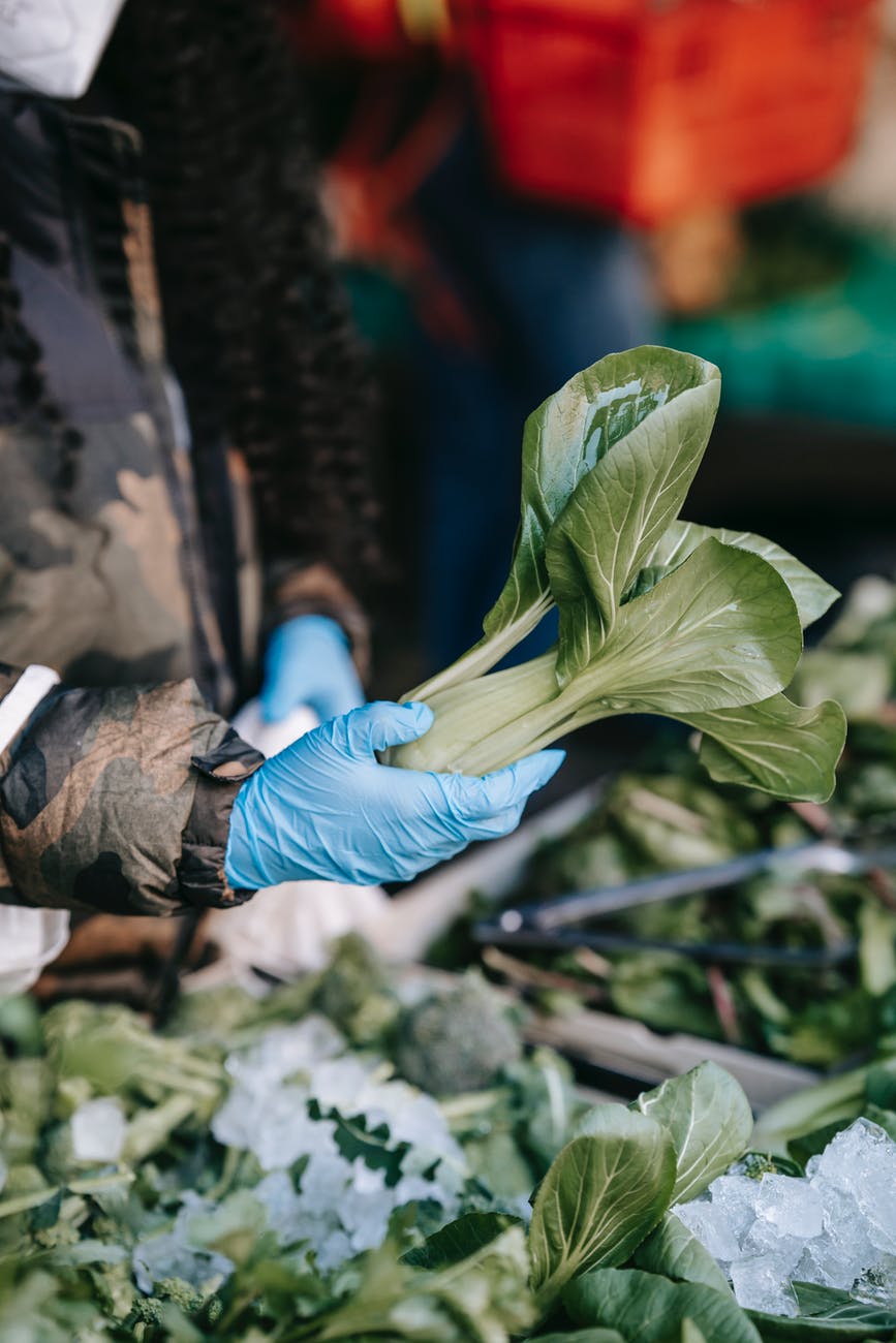 Больше зелени, меньше фруктов: нутрициолог рассказала, как питаться при отеках