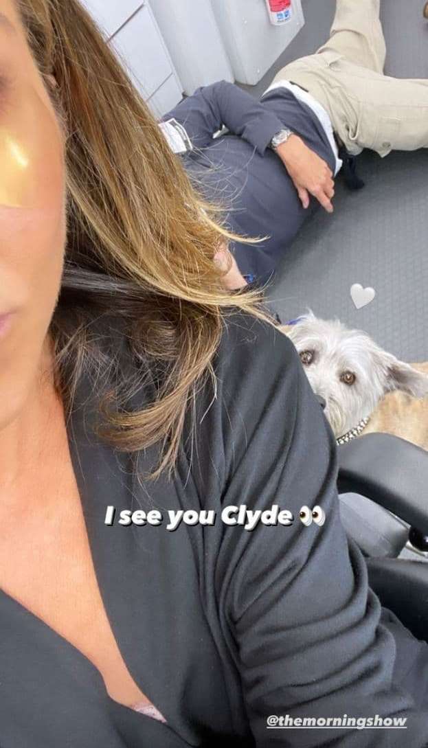 Новый роман? Дженнифер Энистон заинтриговала фото с загадочным мужчиной, похожим на Брэда Питта