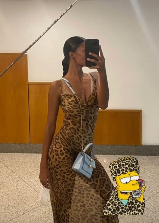 Тіна Кунакі в прозорій сукні з хижим принтом захопила витонченою фігурою