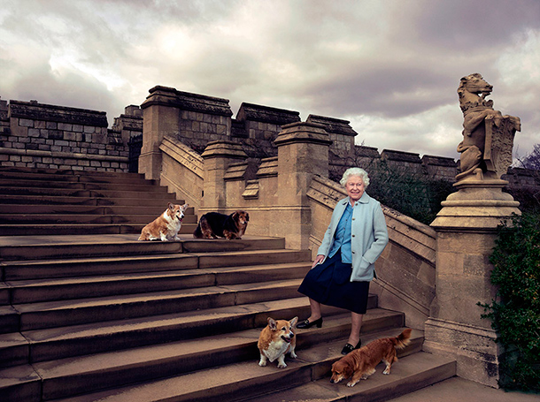 Вона невтішна: королева Єлизавета II втратила улюбленого собаку