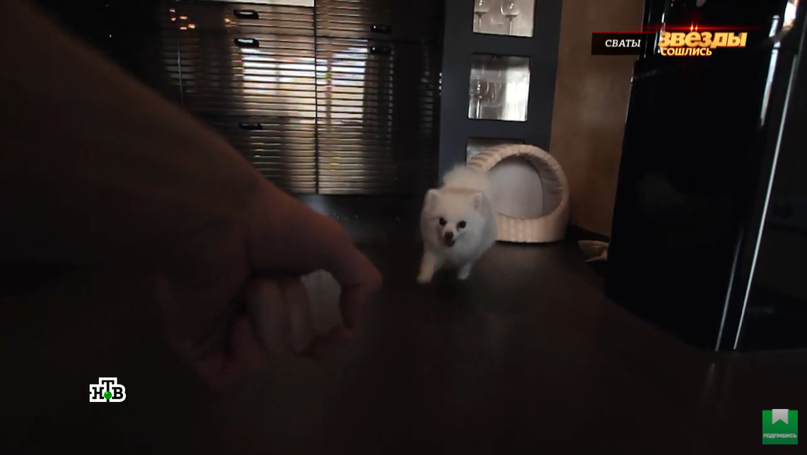 Бабушка подарила: внук Пугачевой показал роскошную квартиру в центре Москвы