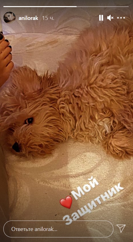 Ани Лорак показала своего &quot;защитника&quot; в честь 23 февраля