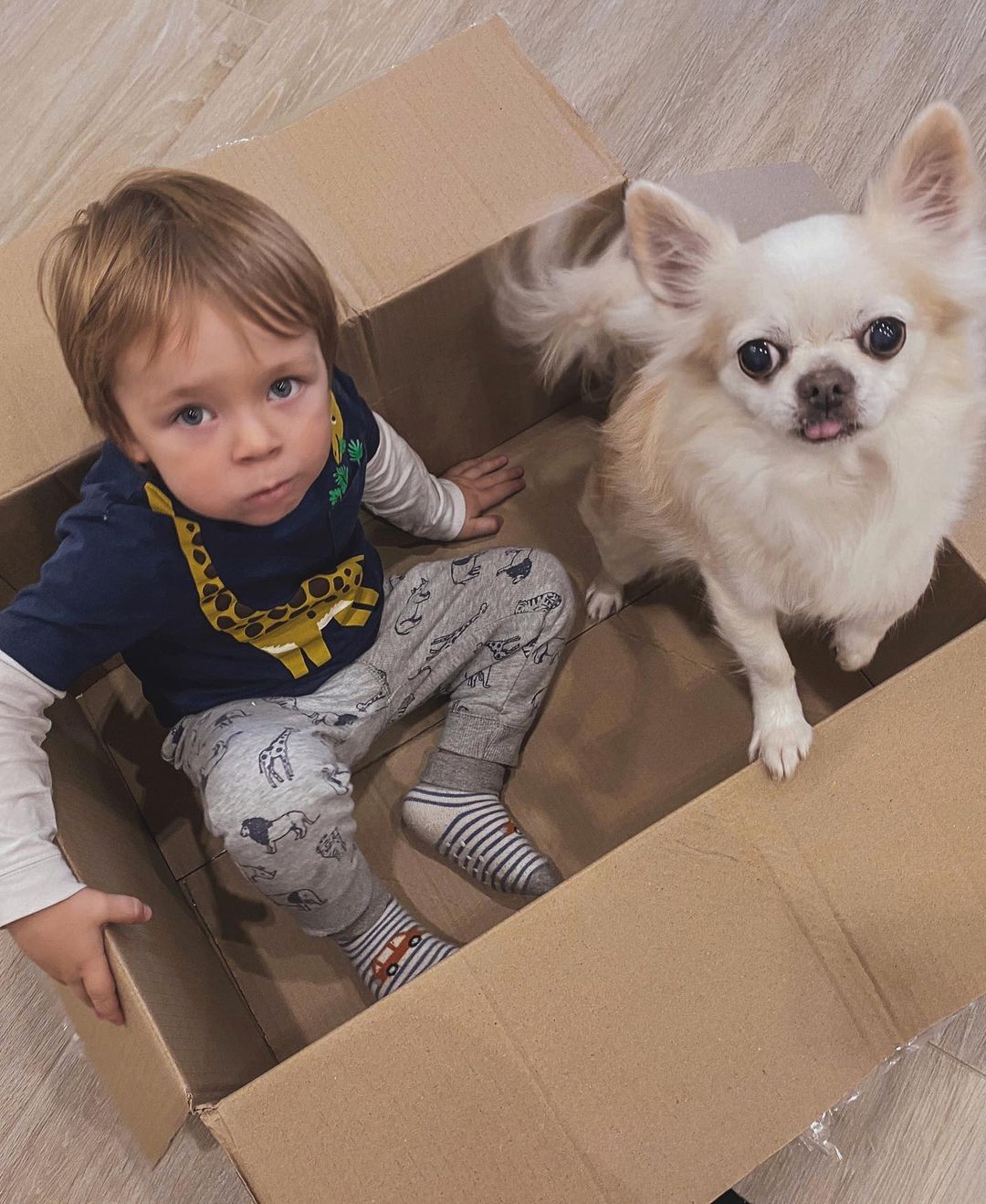 Світлана Тарабарова переїхала в новий будинок: це стихійне лихо