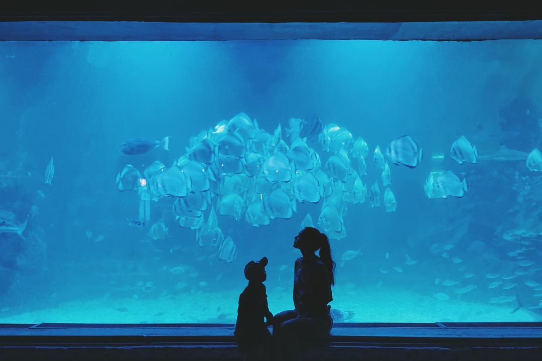 Немов у казці: Юлія Саніна шокувала шанувальників красою з відпочинку