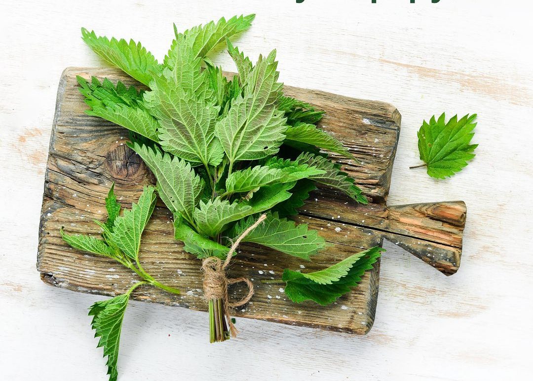 Лучший летний суперфуд: нутрициолог назвала одно средство для восстановление селезенки