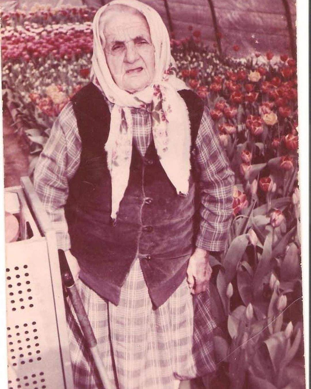 Джамала зворушила трагічною історією своєї родини і показала архівні фото