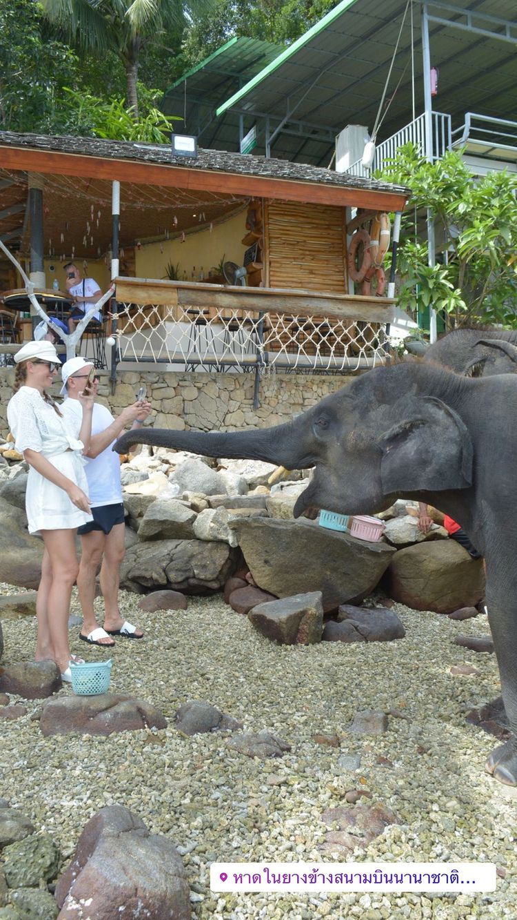 Яхта, сапсерфінг і зустріч з тигром: Осадча і Горбунов з сином показали розваги в Таїланді