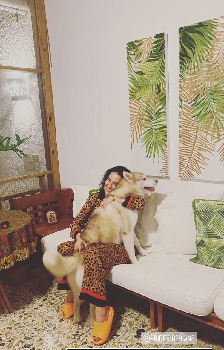 Хижачки в місті: Кендалл Дженнер, Адель, Даша Астаф'єва вчать грамотно носити трендовий леопардовий принт