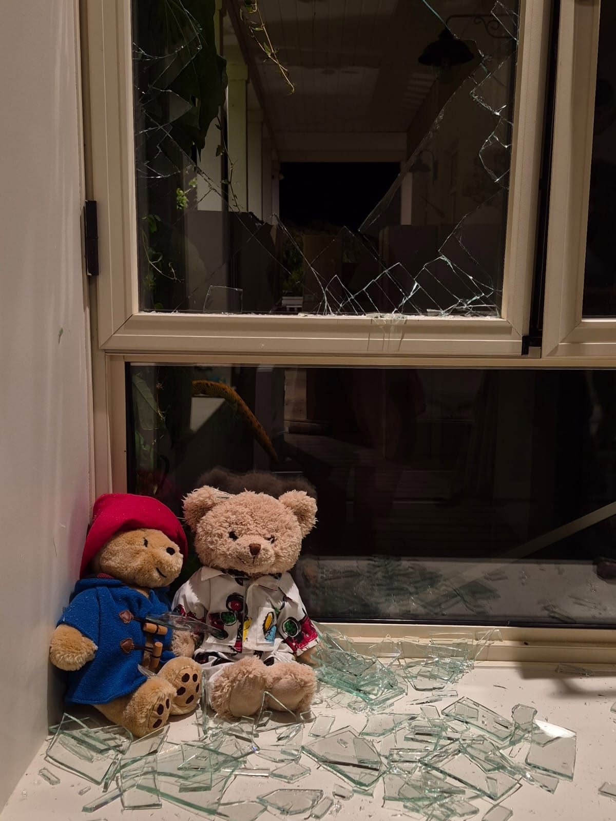 Андрей Макаревич с семьей попал в зону ракетной атаки в Израиле: их дом поврежден