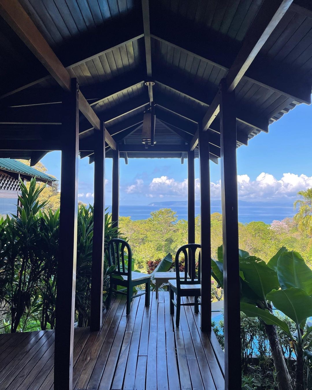 Алан Бадоєв отруївся в джунглях Коста-Ріки у свій день народження (фото)