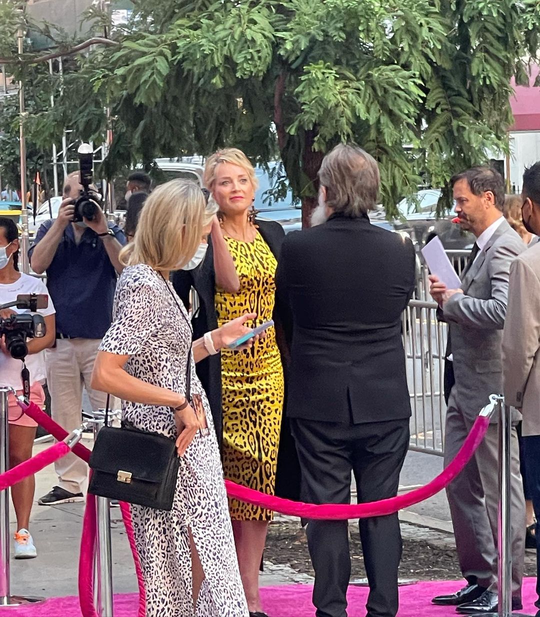 Як і раніше красуня: 63-річна Шерон Стоун в облягаючому платті з хижим принтом підірвала мережу