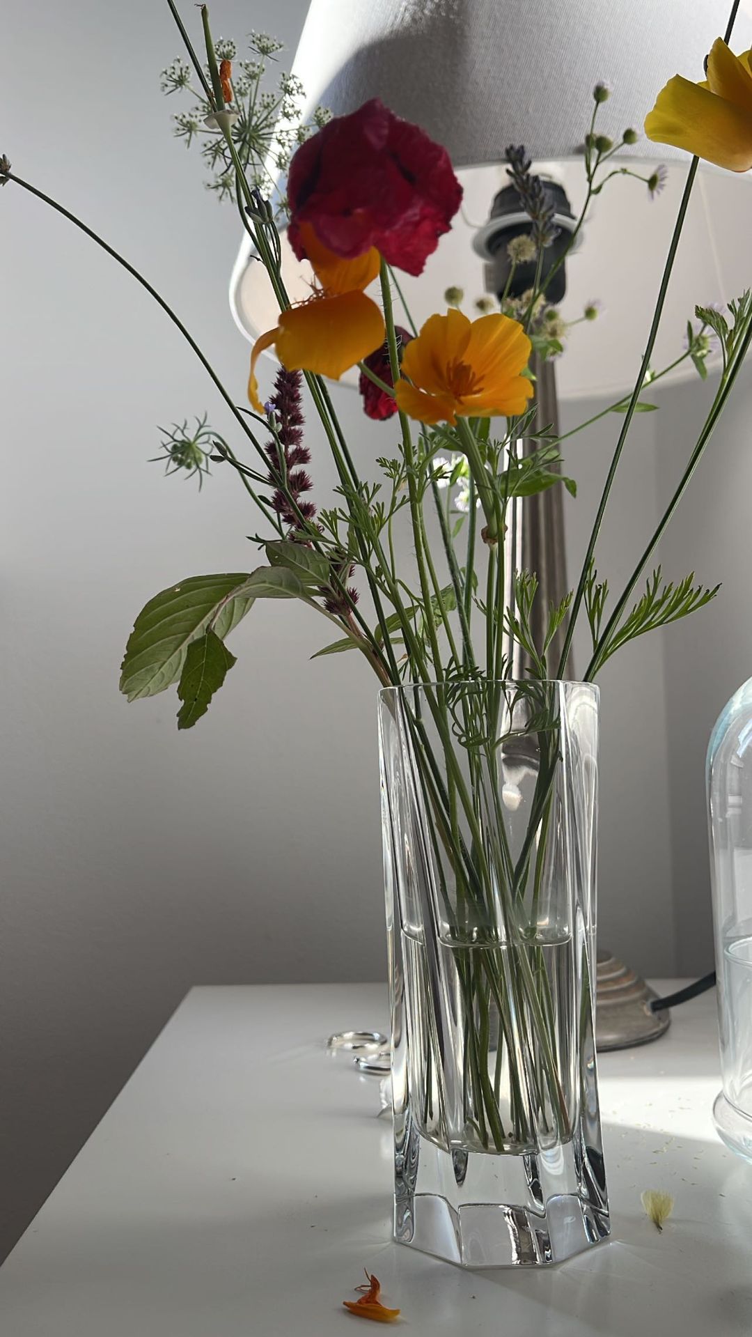 Надя Дорофеева впервые после развода засветила нового избранника