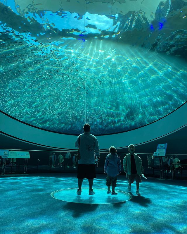 Настоящая идеальная семейка: MONATIK с женой и детьми заворожил сказочными приключениями в США