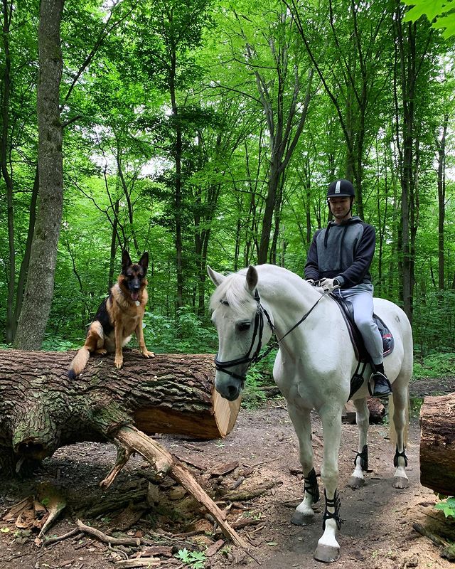 23 години на ногах: власниця коня-героя &quot;Холостячки 2&quot; розповіла правду про зйомки