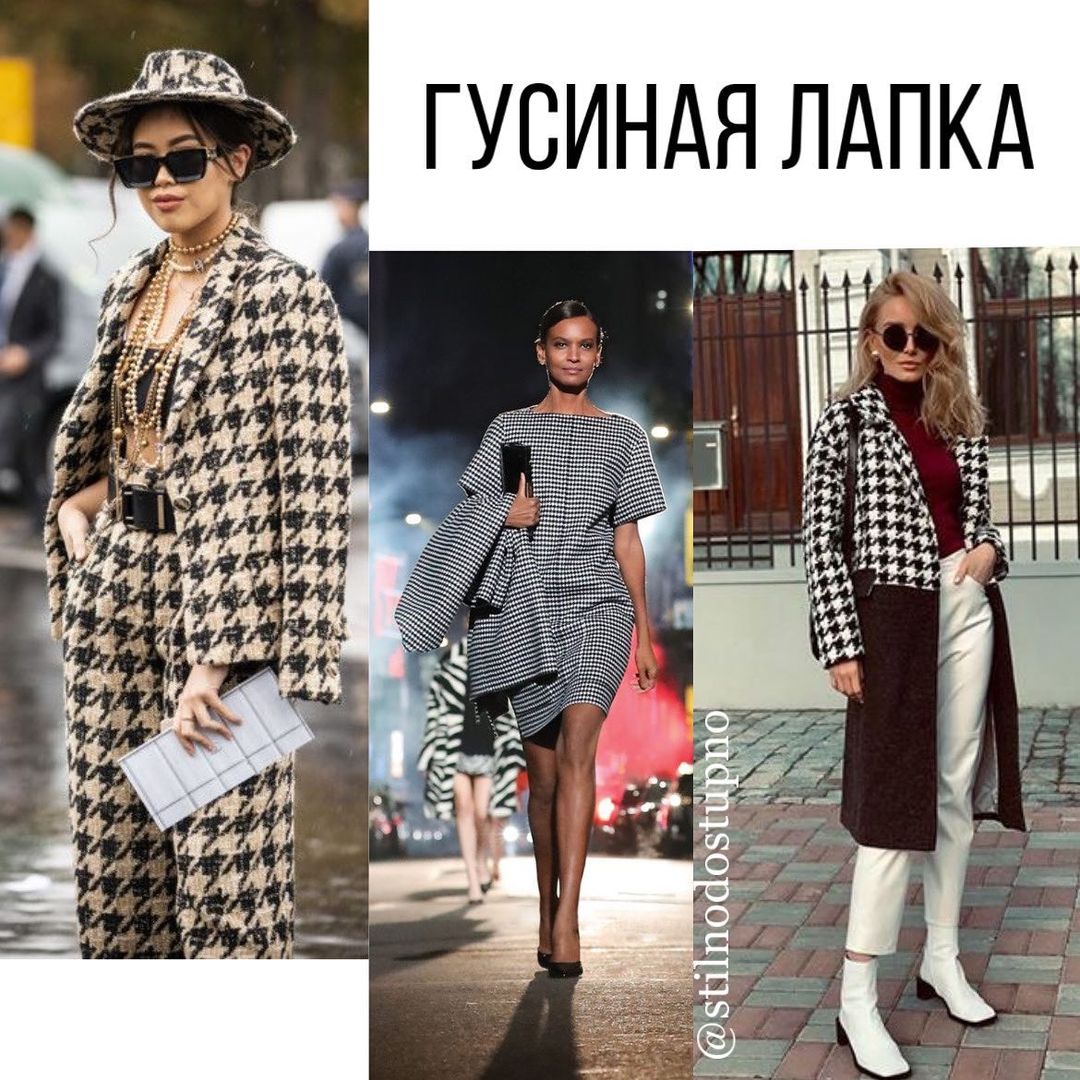 От зебры до экзотических цветов: стилист показала, какой принт для одежды выбрать на осень