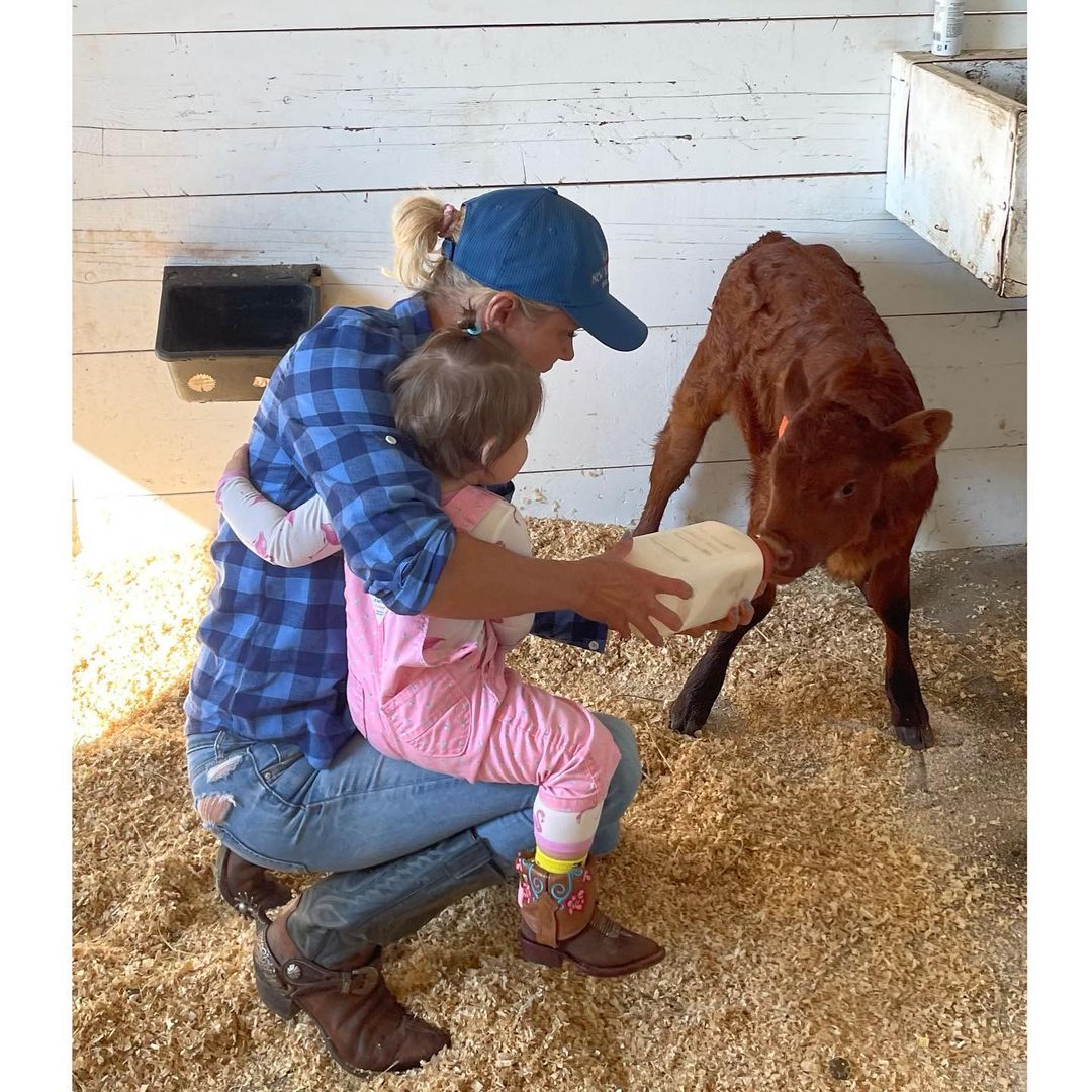 Малік і Хадід розлучилися після того, як Зейн побив маму коханої