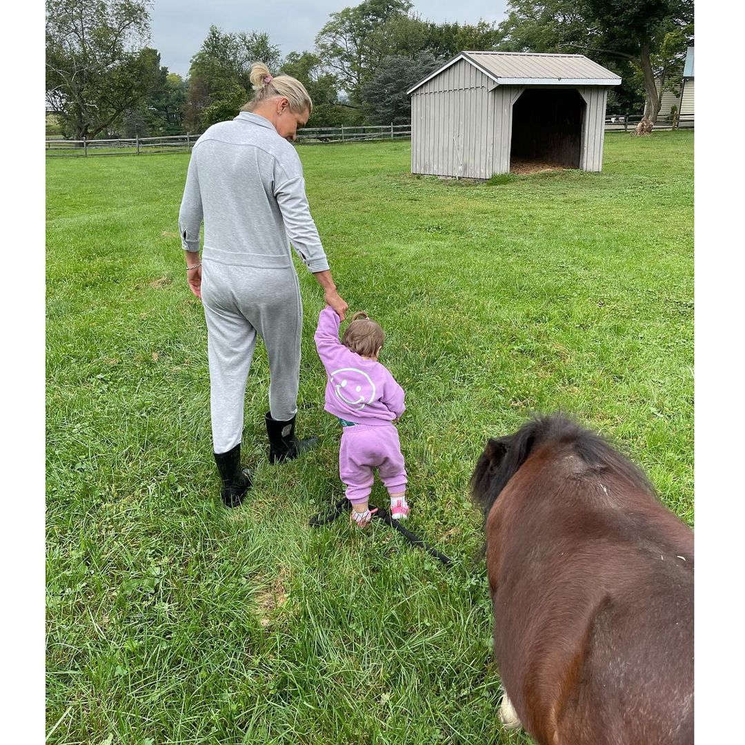 Малік і Хадід розлучилися після того, як Зейн побив маму коханої